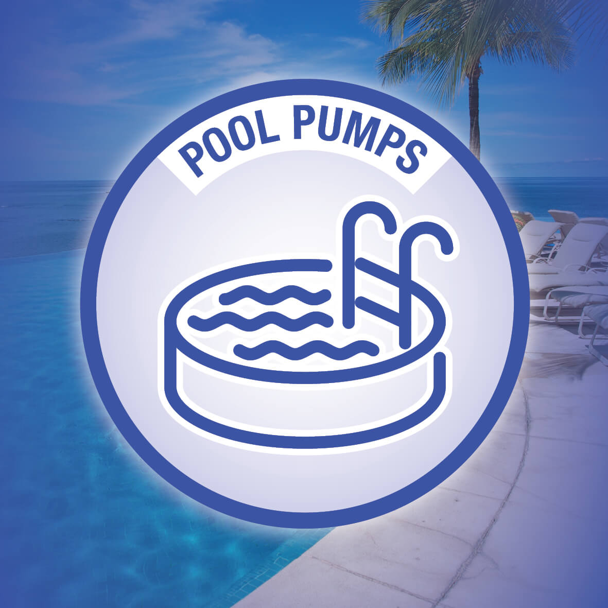 Pool & Aquatics